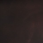 Autumn Leaves - Brown