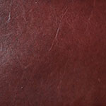 Tetrad Autumn Leaves - Chianti