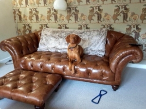 Tetrad Ribchester Sofa &  Footstool