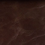 Tetrad Galveston - Bark