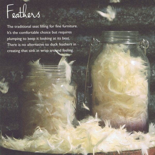 Tetrad Duck Feathers