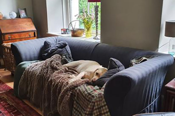 Replacement Loose Sofa Covers and Chair Covers for Discontinued Tetrad Models