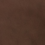 Tetrad Picasso - Chestnut